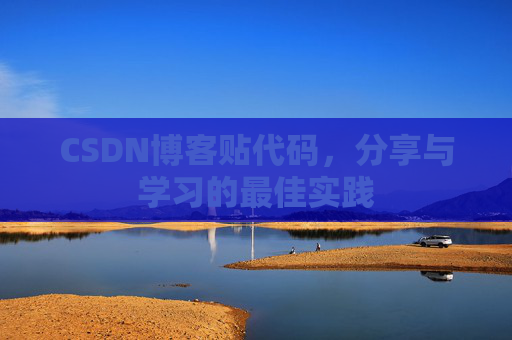 CSDN博客贴代码，分享与学习的最佳实践