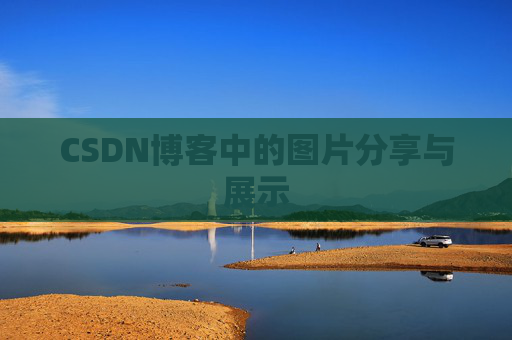 CSDN博客中的图片分享与展示
